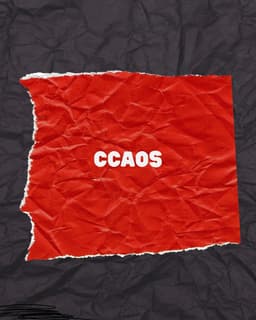 Foto de Coordinadora de Colectivos, Activistas y Organizaciones Sociales de Michoacán